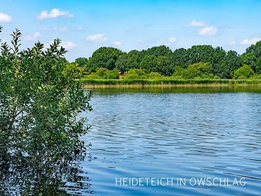 Heideteich_2