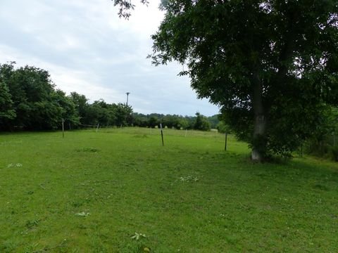 Belgern-Schildau OT Seydewitz Häuser, Belgern-Schildau OT Seydewitz Haus kaufen