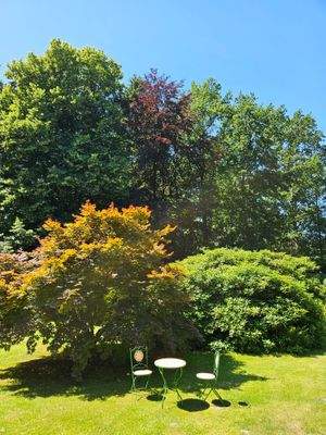 Ein Ort der Ruhe im Park