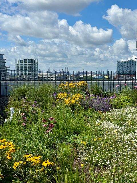 Hamburg Wohnungen, Hamburg Wohnung mieten