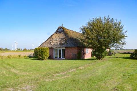 Neufelderkoog Häuser, Neufelderkoog Haus kaufen