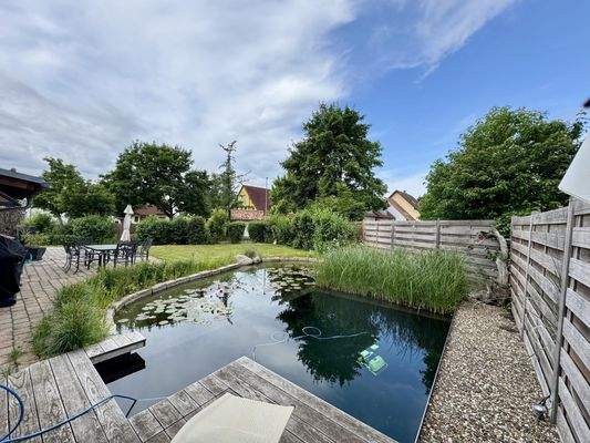 Blick in den Garten mit Naturschwimmteich