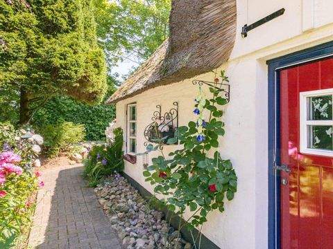 Hörup Häuser, Hörup Haus kaufen