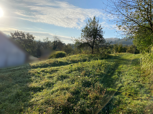 Bild 6_4923.png