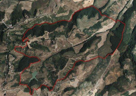 cid_1E90856F-AFBB-4BD1-B823-15B2A7EC53A3-1-1 Kopie