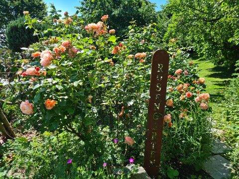 Pfarrkirchen Häuser, Pfarrkirchen Haus kaufen