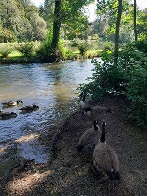 Impressionen_Schlosspark