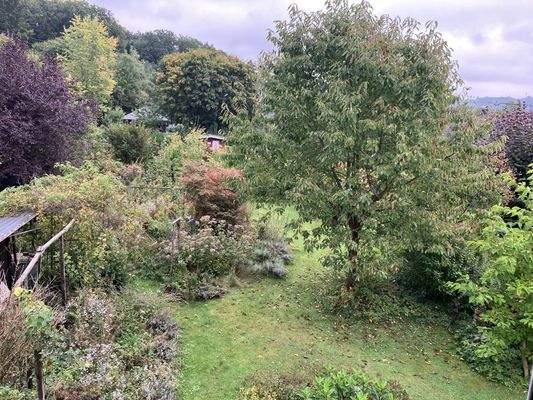 Blick in den Garten