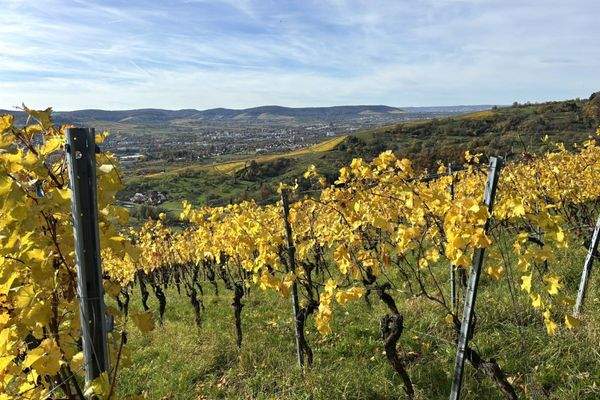 Aussicht Umgebung Buoch