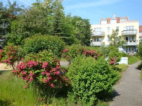 Dresden Wohnungen, Dresden Wohnung kaufen