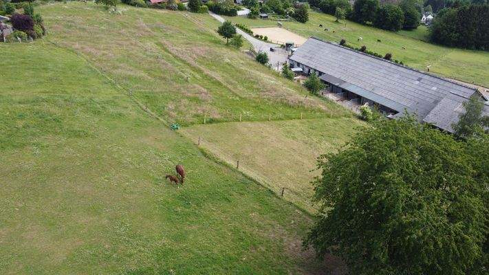 be753736-81fb-49b6-be8e-0615eaf8d9c3