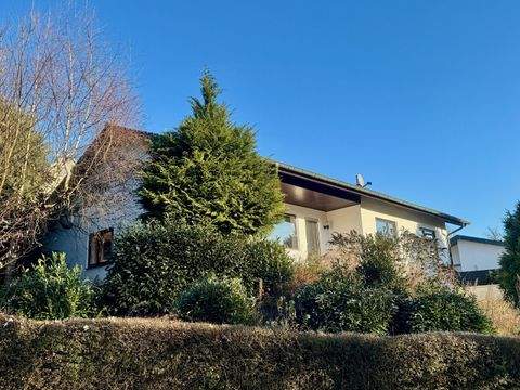 Binau Häuser, Binau Haus kaufen