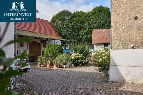 Bördeland Häuser, Bördeland Haus kaufen