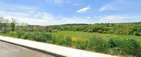 Olympische Riviera Bauernhöfe, Landwirtschaft, Olympische Riviera Forstwirtschaft