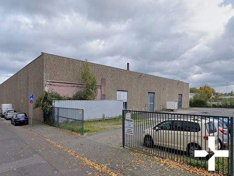 Mönchengladbach Halle, Mönchengladbach Hallenfläche