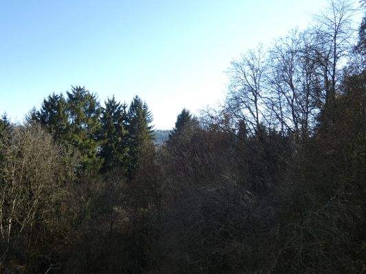 angrenzendes Naturschutzgebiet