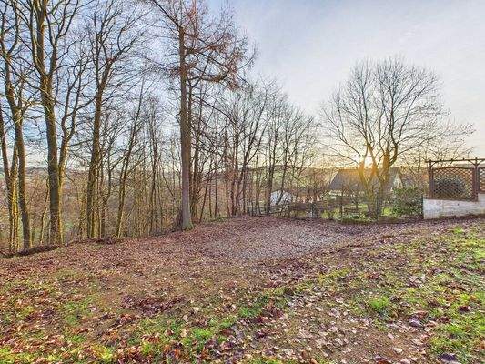 Einfamilienhaus in Waldrandlage - Sankt Wendel-Hoof