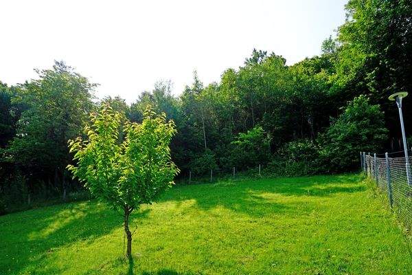 Blick über das südliche Grundstück