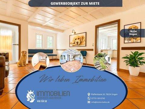 Singen Büros, Büroräume, Büroflächen 