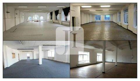 Hamburg Halle, Hamburg Hallenfläche