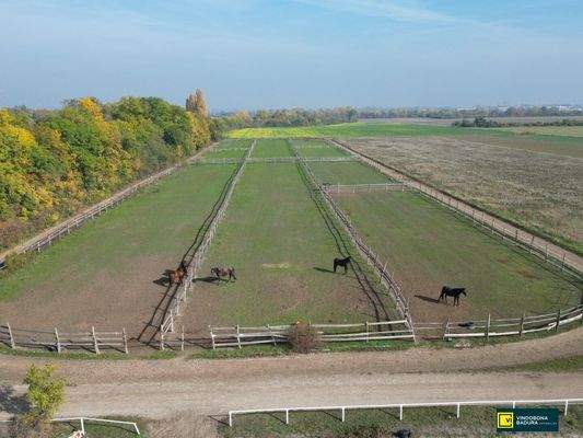 Trainingsbahn mit Koppel