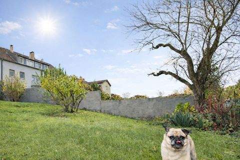 Haan Häuser, Haan Haus kaufen