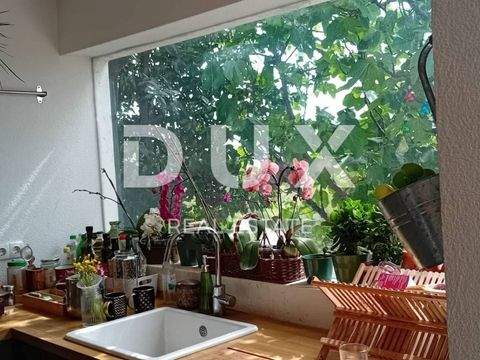 Centar Wohnungen, Centar Wohnung kaufen