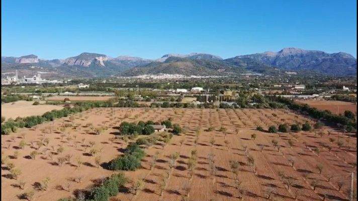 Suelo-edificable-Inca