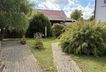 Blick in den Garten