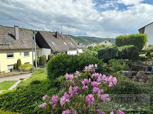 Blick auf den Garten