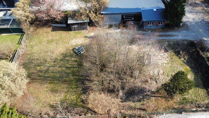 Vogelperspektive mit Altbestand