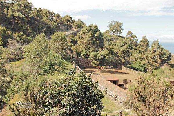 haus mit pferdestall und gästezimmer teneriffa zu verkaufen