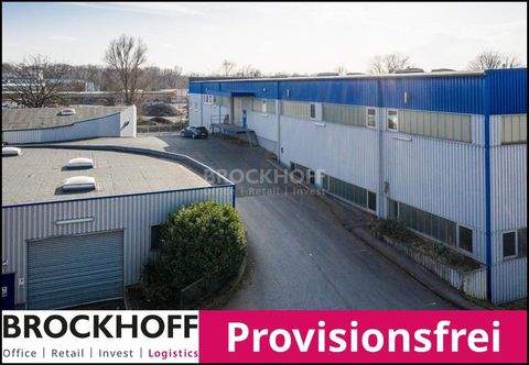 Dortmund Halle, Dortmund Hallenfläche