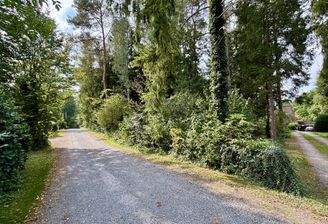 Blick vom Iltisstieg