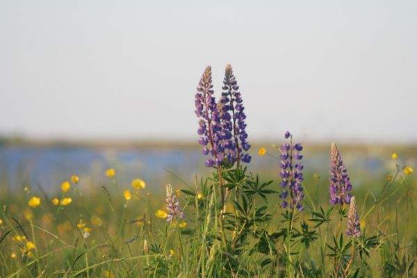 Ihr Herzstück. Impressionen Umgebung 1.