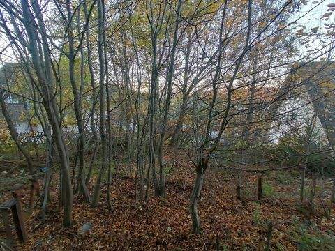 Brilon Grundstücke, Brilon Grundstück kaufen