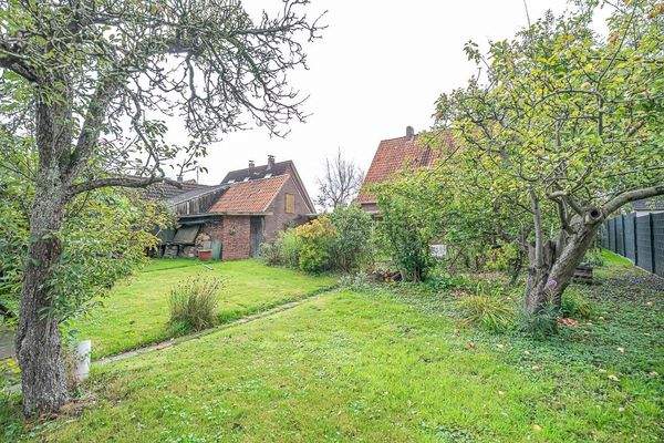 Außenansicht / Garten