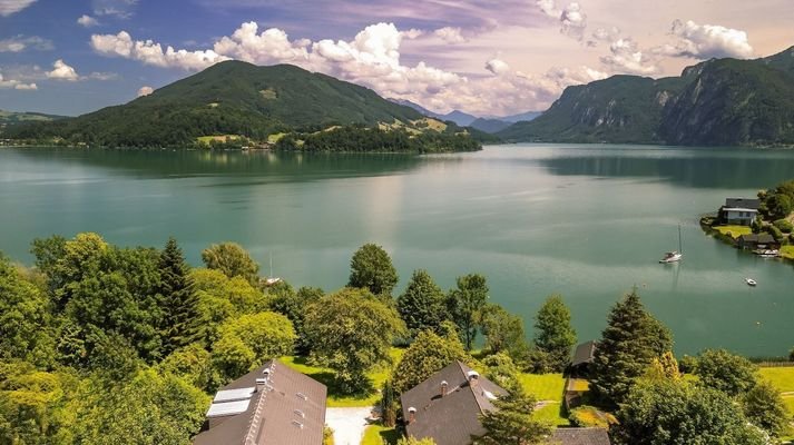 Blickwinkel vom Altbestand auf den See