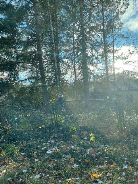 Schulzendorf Grundstücke, Schulzendorf Grundstück kaufen