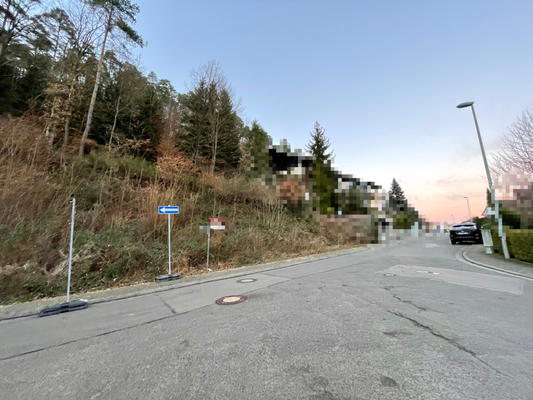 Grundstück Weidenthal