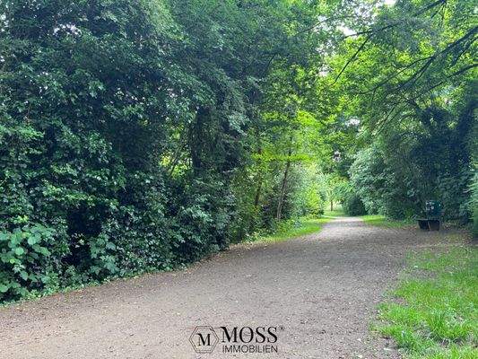 Park hinter dem Haus