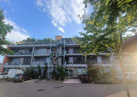 Emmendingen Wohnungen, Emmendingen Wohnung kaufen