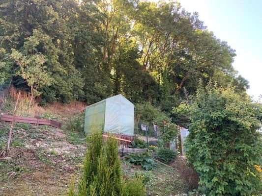 Garten in Hanglage mit Waldstück