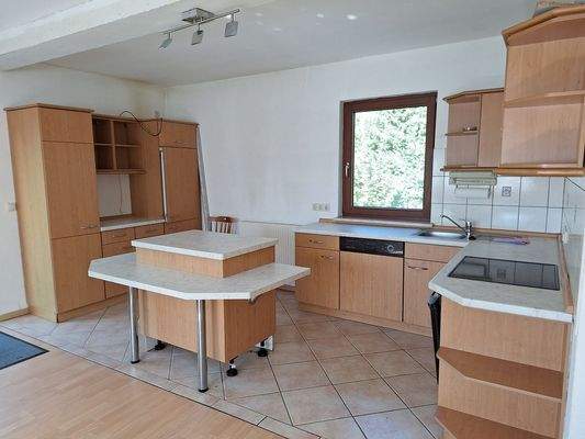 Anbau Küche
