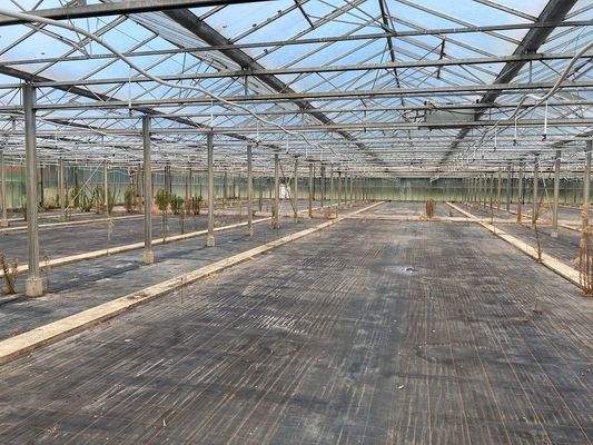 Gewächshaus alt innen