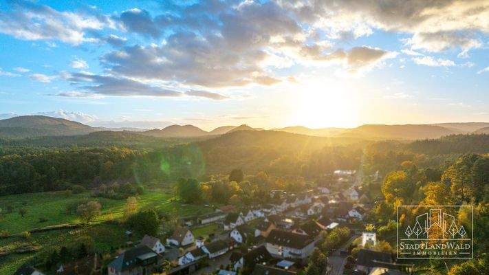 0. Luftbilder_Landschaften_EFH_Fischbach_Bergstr. 16-1