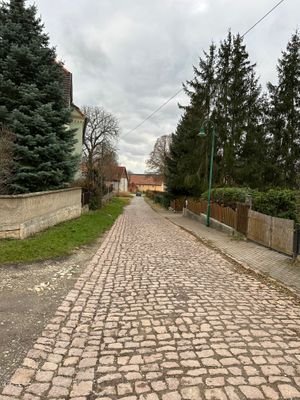 IMG_4305.jpg