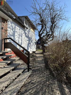 Gesunder Baumbestand