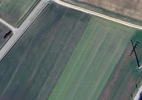 Alesheim Bauernhöfe, Landwirtschaft, Alesheim Forstwirtschaft