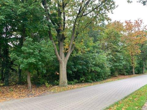 Hatten Grundstücke, Hatten Grundstück kaufen